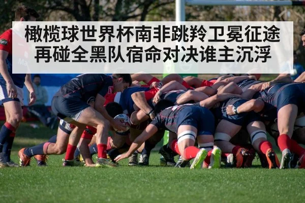 橄榄球世界杯南非跳羚卫冕征途再碰全黑队宿命对决谁主沉浮